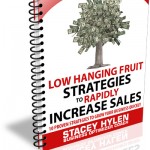 Binder 150x150 Low Hanging Fruit Sales Page